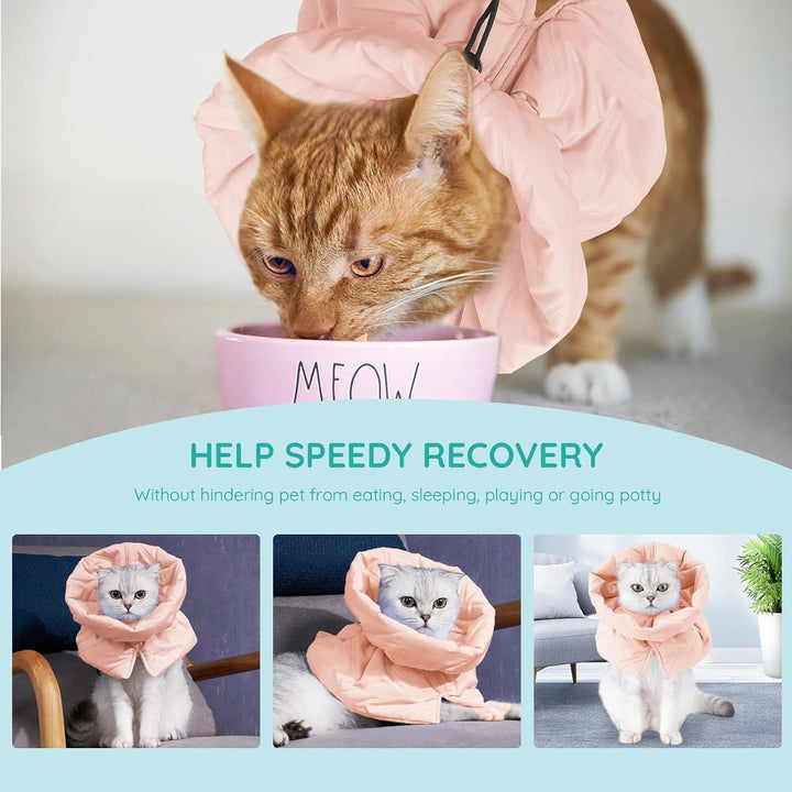 Cat eating while wearing pink soft recovery collar