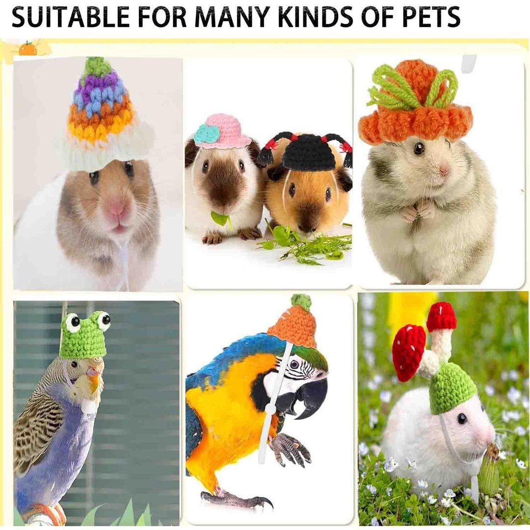 Mini party hats shown on small pets