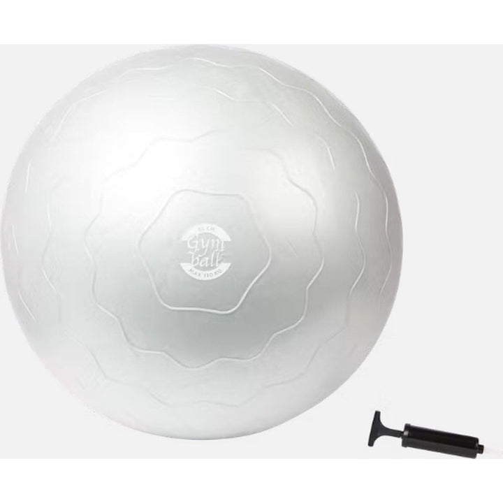 KAYTAN Fitness Gym Ball 65CM Diameter - Pump Included - Just Closeouts Canada Inc.8714333007699