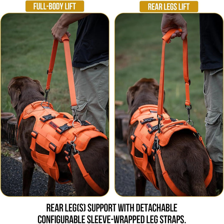 Lift Harness for Large Dogs, Support Sling for Back Legs, Lifter With Handles Invictus Multifunctional Mobility Assistance Vest Hip Support Brace (Orange, M) - Just Closeouts Canada Inc.