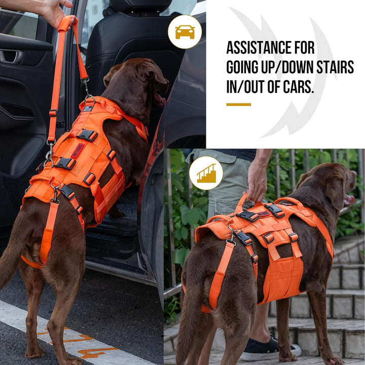 Lift Harness for Large Dogs, Support Sling for Back Legs, Lifter With Handles Invictus Multifunctional Mobility Assistance Vest Hip Support Brace (Orange, M) - Just Closeouts Canada Inc.