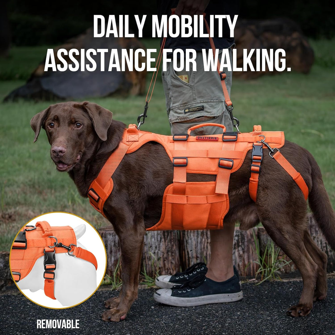 Lift Harness for Large Dogs, Support Sling for Back Legs, Lifter With Handles Invictus Multifunctional Mobility Assistance Vest Hip Support Brace (Orange, M) - Just Closeouts Canada Inc.