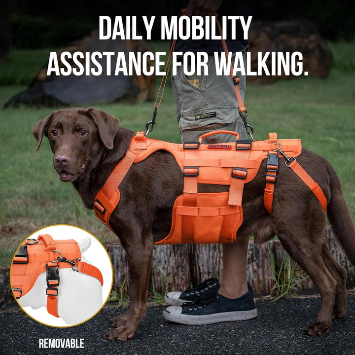 Lift Harness for Large Dogs, Support Sling for Back Legs, Lifter With Handles Invictus Multifunctional Mobility Assistance Vest Hip Support Brace (Orange, M) - Just Closeouts Canada Inc.
