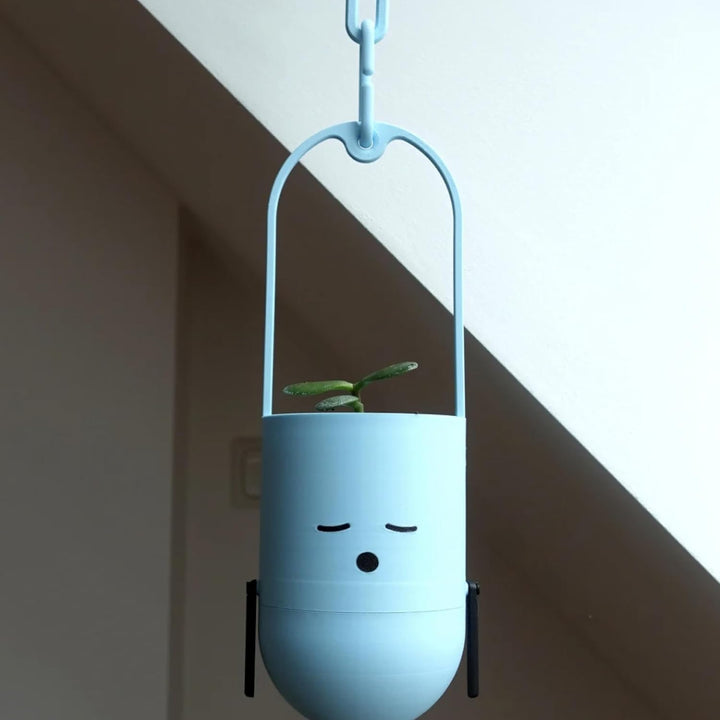 Matte PLA Filament, Pastel Ice 1.75mm 1kg 3D Printing Filament, Formerly Polyterra Matte, Fit Most FDM 3D Printers, 1kg Spool (2.2lbs) - Just Closeouts Canada Inc.PM70910