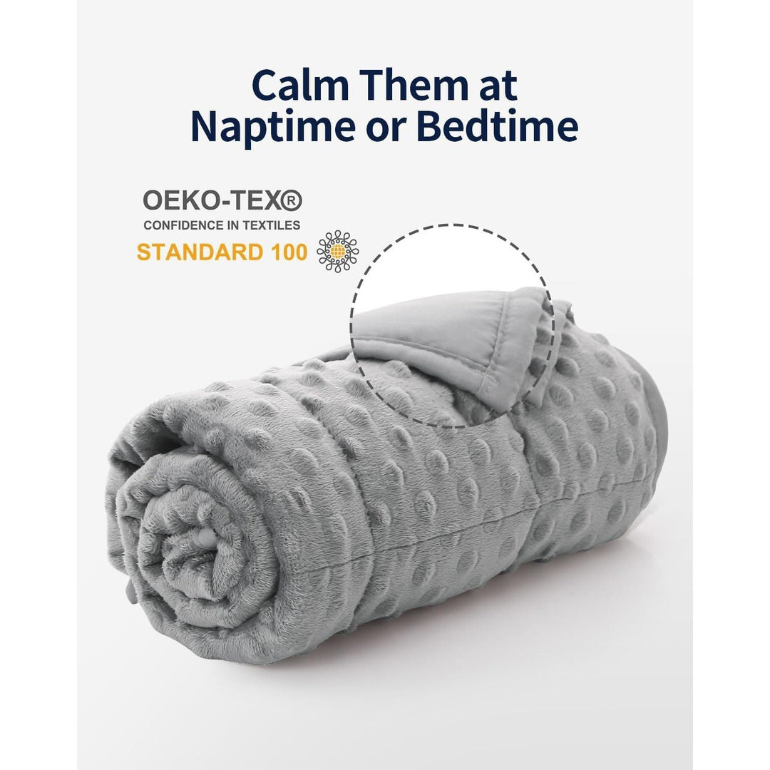 Mr. Sandman Weighted Blanket with Minky Dots, Cooling Heavy Blanket, Soft and Cozy Weighted Throw for Sleeping and Calm,36 x 48in,5lbs,Grey - Just Closeouts Canada Inc.