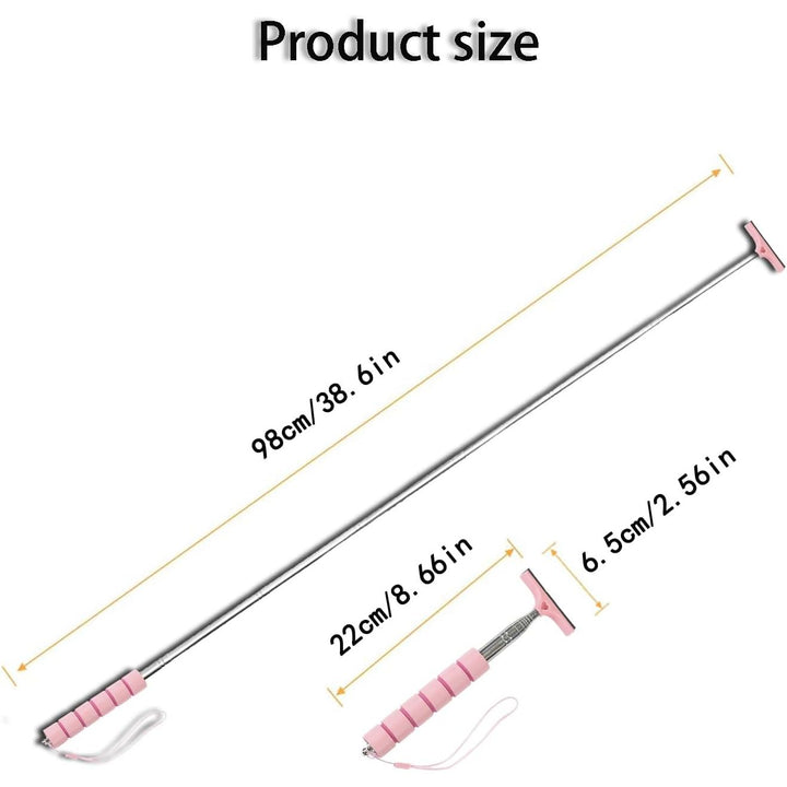 Pink Telescopic Car Mirror Squeegee, 22–98 cm - Just Closeouts Canada Inc.X00463HXO9