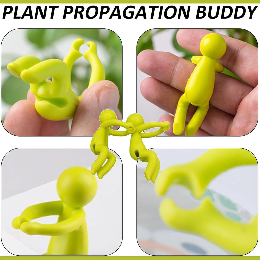 Plant Propagation Cutting Holders, 6-Pack, Green Mix - Just Closeouts Canada Inc.X004ING4KL