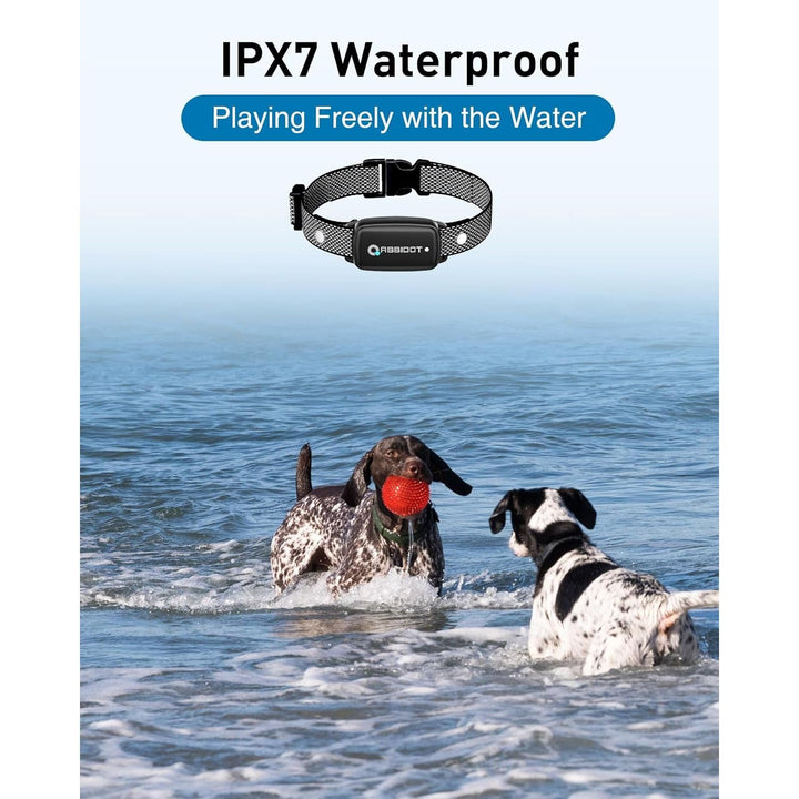 Shock Collar 2 Dogs (15~130lbs) - 3300ft Dog Shock Collar with Remote, IPX7 Waterproof Electric Dog Training Collar with Remote for Small Medium Large Dogs, Grey - Just Closeouts Canada Inc.X003VDYO01