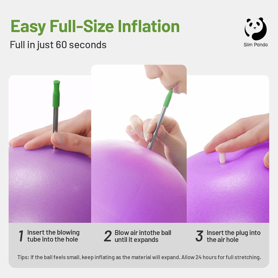 Slim Panda Pilates Ball,9 Inch Small Exercise Ball, Therapy Ball, Core Ball, Mini Yoga Ball for Pilates, Balance, Stability, Workout, Core Training and Physical Therapy - Just Closeouts Canada Inc.