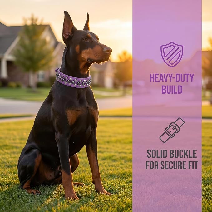 Studded PU Leather Dog Collar – Purple, S - Just Closeouts Canada Inc.