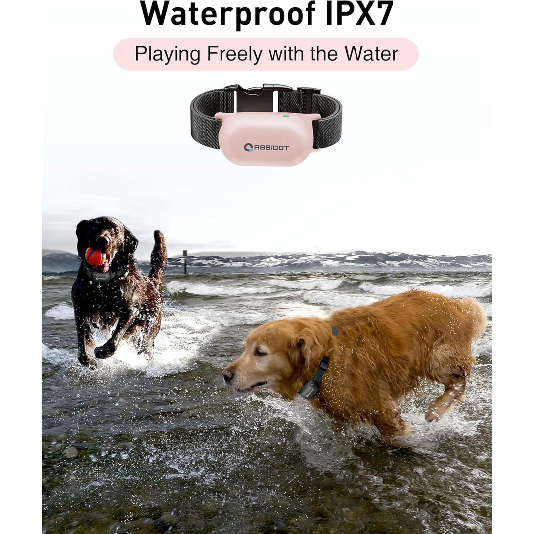 T20 Small Size Shock Collar (8 - 120 lbs) - 3000 Ft Dog Training Collar with Remote Waterproof Shock Collar, Pink - Just Closeouts Canada Inc.