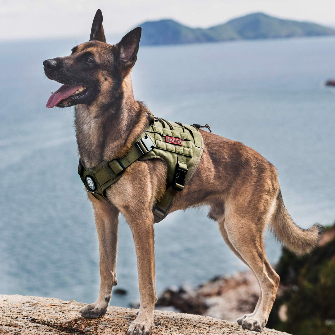 Tactical Dog Harness Military Dog Harness, Dog Harness with Handle Heavy Duty Dog Vest for Hiking Training Outdoor Dogs(Ranger Green, Large) - Just Closeouts Canada Inc.