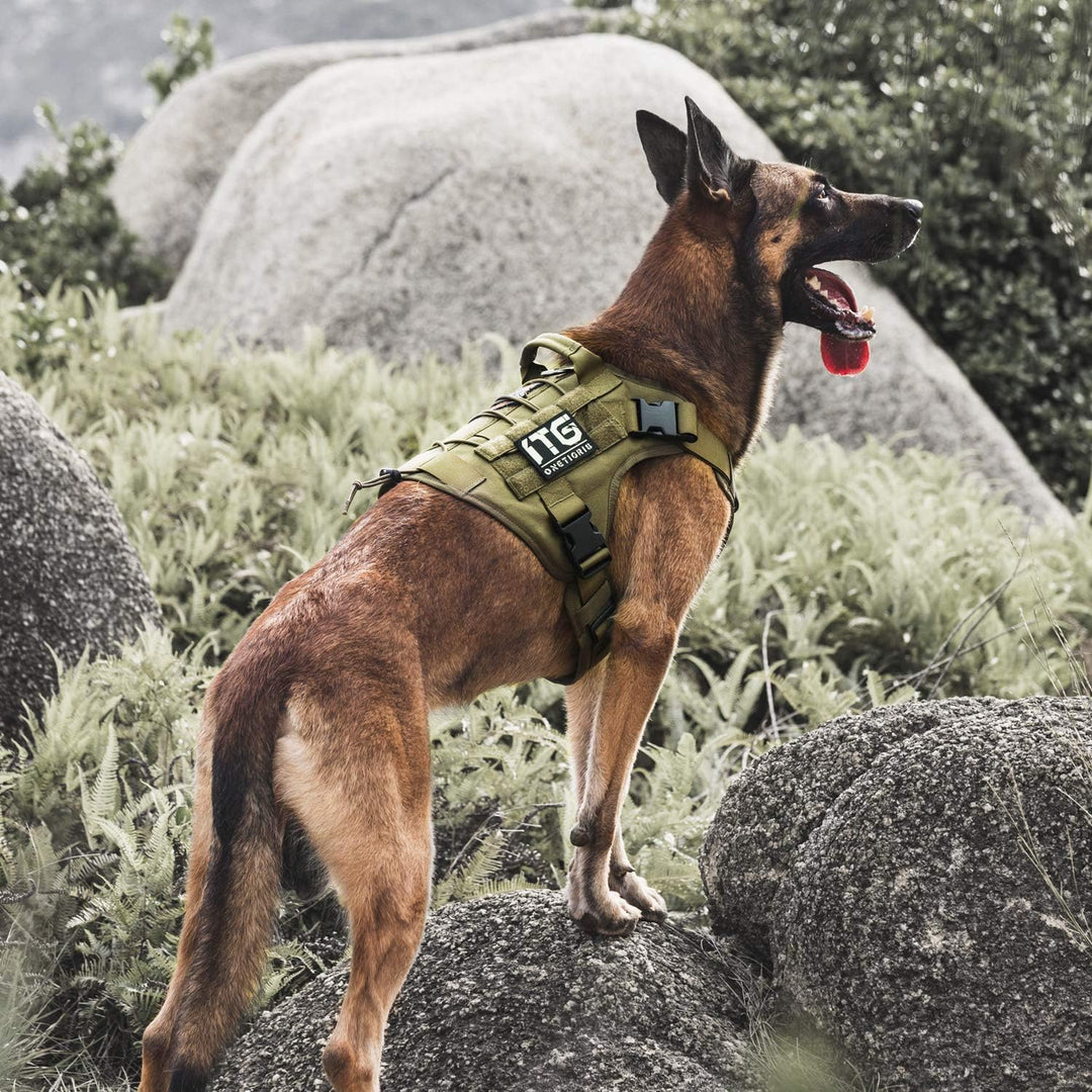 Tactical Dog Harness Military Dog Harness, Dog Harness with Handle Heavy Duty Dog Vest for Hiking Training Outdoor Dogs(Ranger Green, Large) - Just Closeouts Canada Inc.