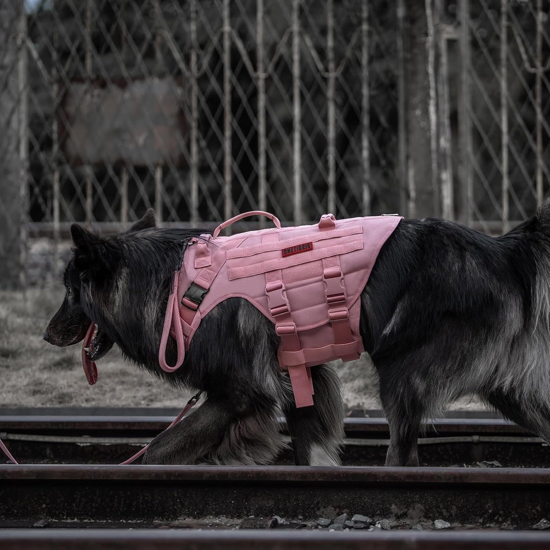 Tactical Dog Harness, No Pulling Adjustable Dog Vest Harness, Heavy Duty Dog Harness with Handle, Large Hook and Loop Panels for Patch (Pink, M) - Just Closeouts Canada Inc.