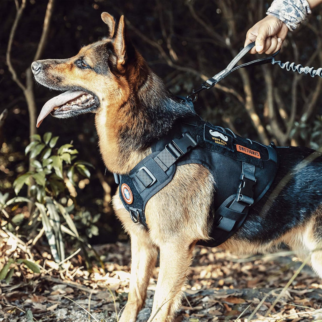 Tactical Dog Harness,FIRE Watcher 2.0 No - Pull Dog Harness Vest with Hook & Loop Panels, Military Dog Harness Adjustable Dog Vest for Walking Hiking Training(Black,Small) - Just Closeouts Canada Inc.