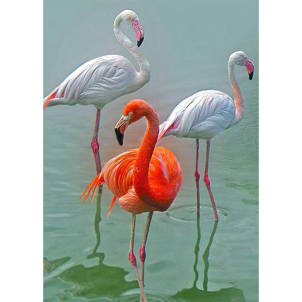 Three Flamingos 5D Diamond Painting Kit, 30 x 40 cm - Just Closeouts Canada Inc.X0040SRESP