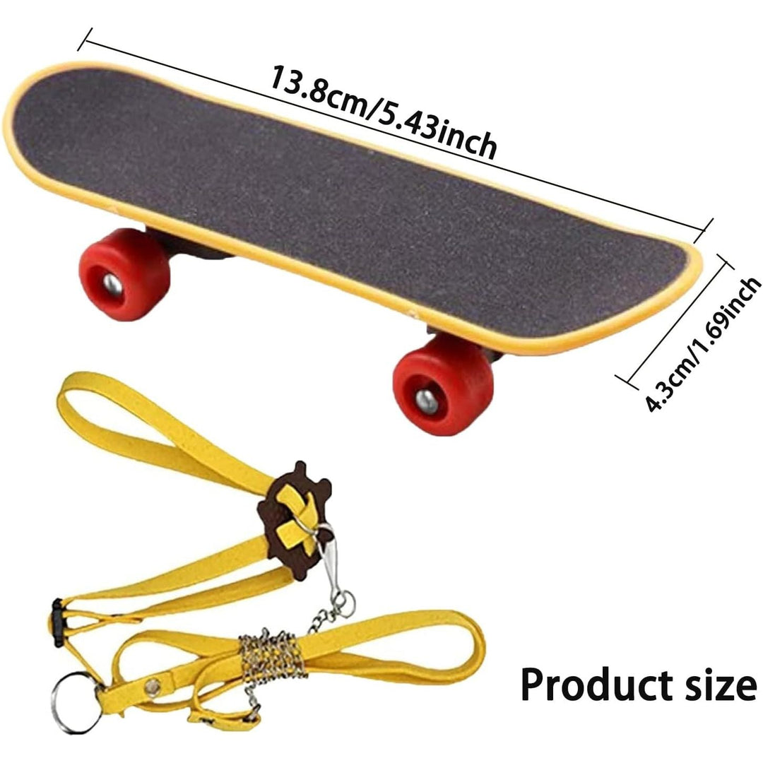 Tortoise Skateboard and Adjustable Harness Leash Set - Just Closeouts Canada Inc.X004M4RXPV