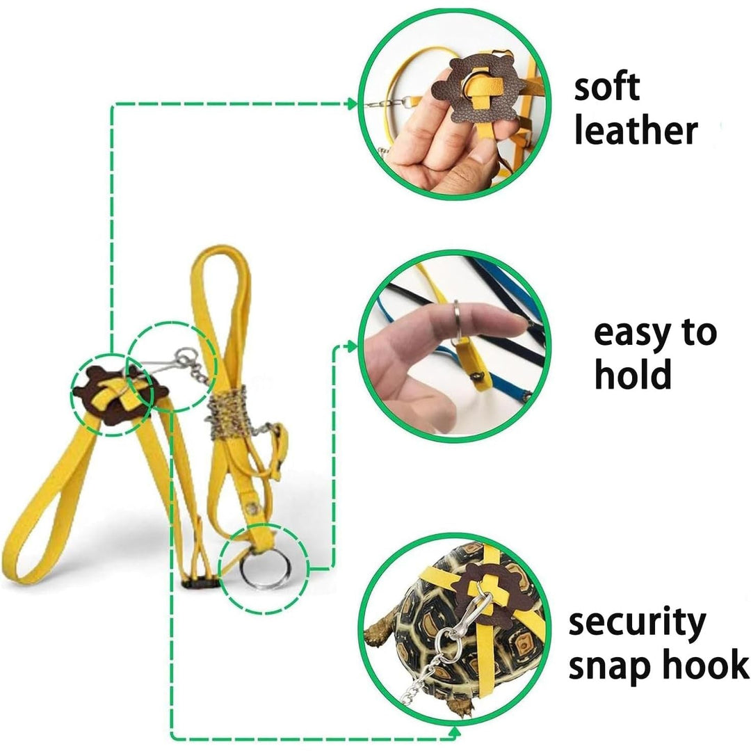 Tortoise Skateboard and Adjustable Harness Leash Set - Just Closeouts Canada Inc.X004M4RXPV
