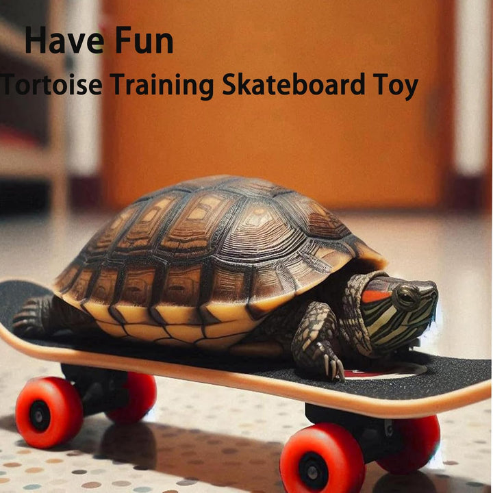 Tortoise Skateboard and Adjustable Harness Leash Set - Just Closeouts Canada Inc.X004M4RXPV