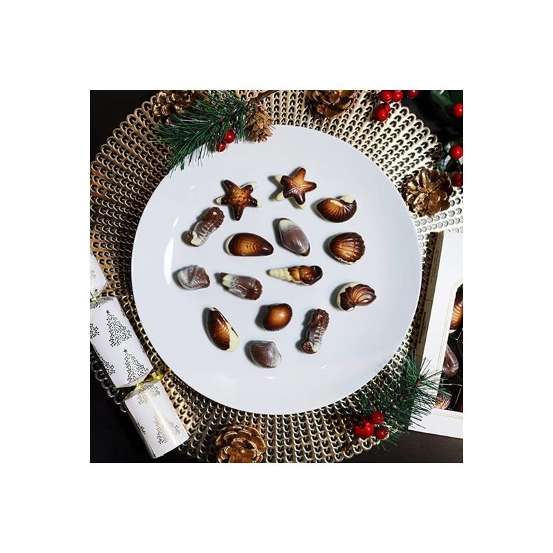 Waterbridge Belgian Chocolate Seashells, 250g - Just Closeouts Canada Inc.
