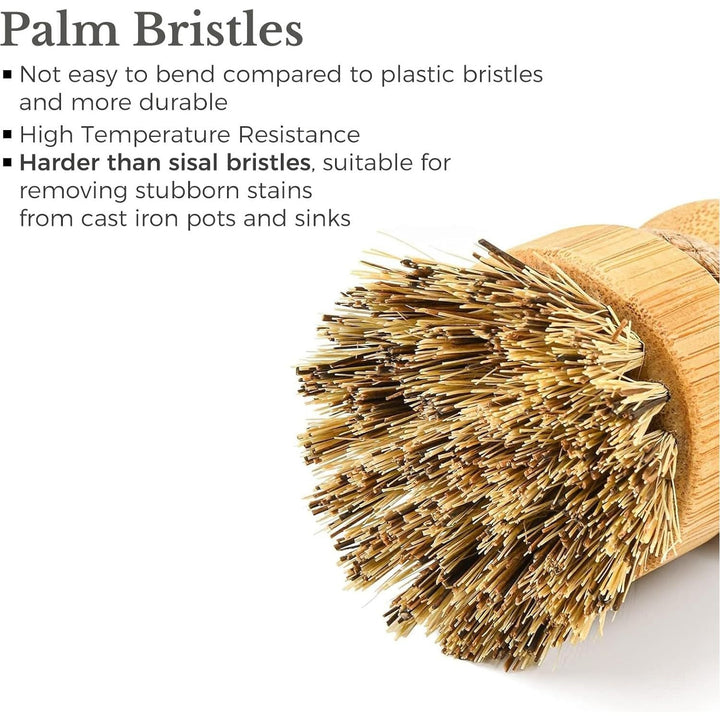 WVSAFV Natural Bamboo Brush, Harden Cleaning Brush, Vegetable Brush, Scrub Brush, Kitchen Dish Brush, Dish Scrubber for Cleaning Pans, Pots and Sink (4Pc Palm Bristles) - Just Closeouts Canada Inc.